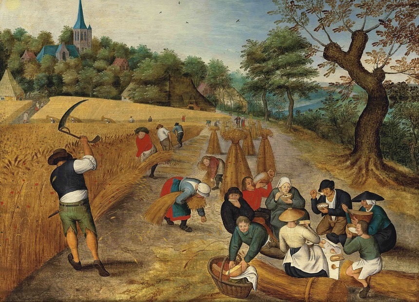 Campos de siega